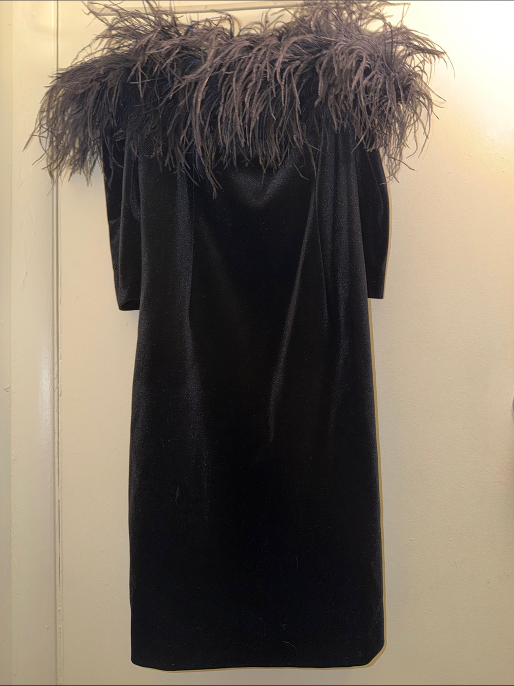 Teri Jon Black Velvet Dress with Feather Trim - Picture 3 of 4